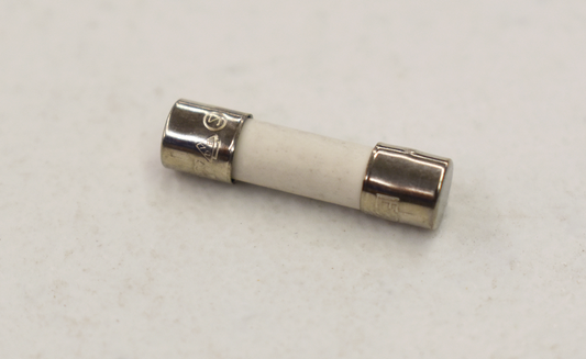 FUSE SLO BLOW 1A 250VAC (FOR C.U.) (NEED QTY 2)